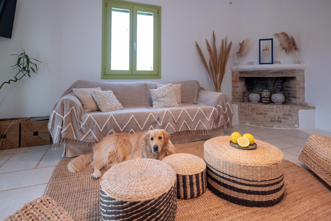 Ventu Paros Villa Márpissa Esterno foto