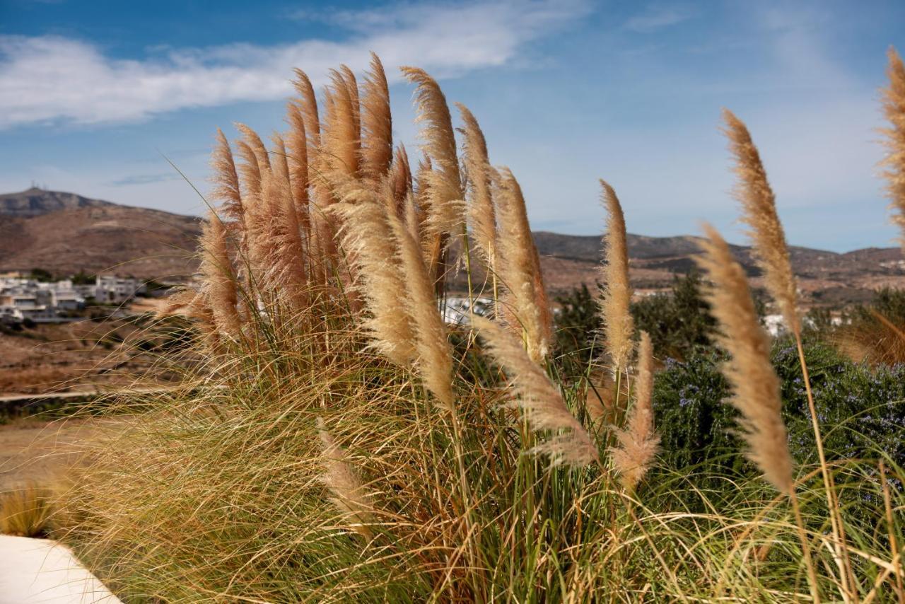 Ventu Paros Villa Márpissa Esterno foto